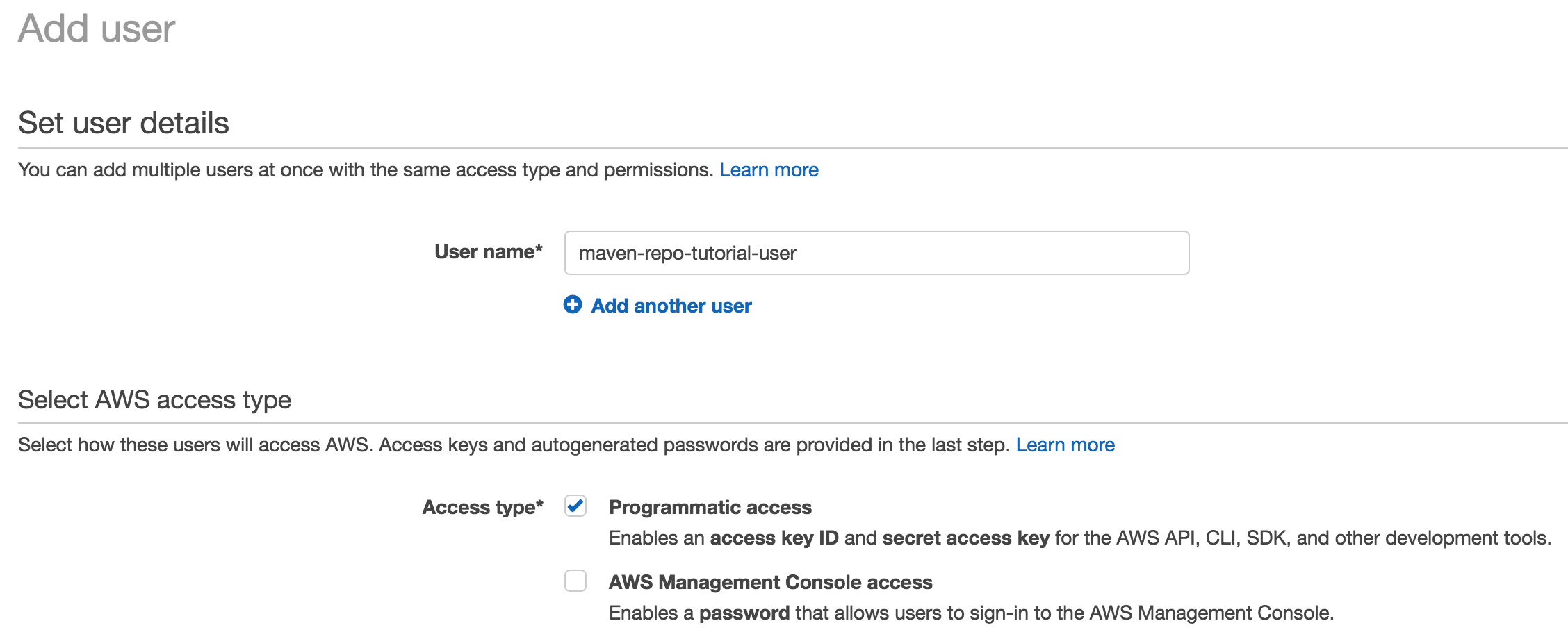 AWS IAM User - Name and Access Type